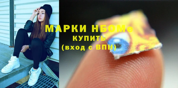 гашик Снежногорск