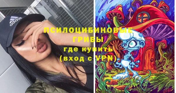 индика Абинск