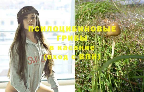 индика Абинск