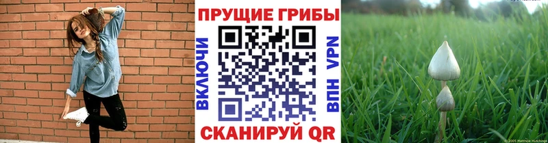 Псилоцибиновые грибы MAGIC MUSHROOMS  Весьегонск 